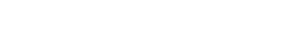 mintropy-logo-white