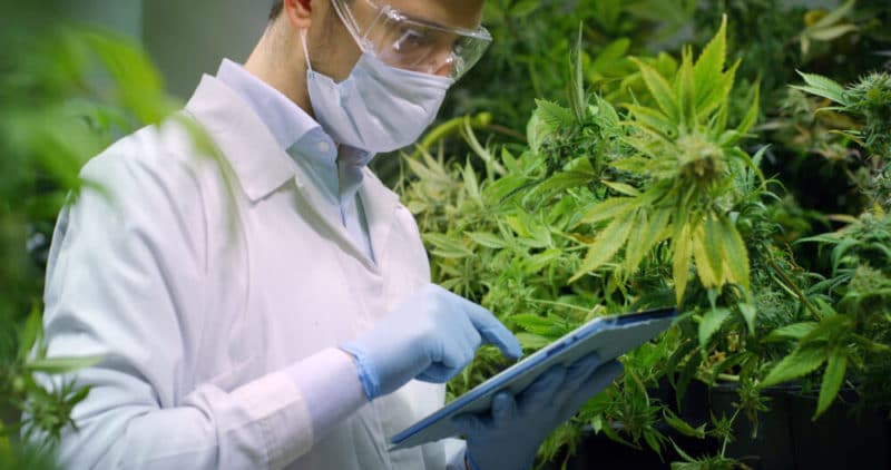 reduce indoor cultivation energy costs