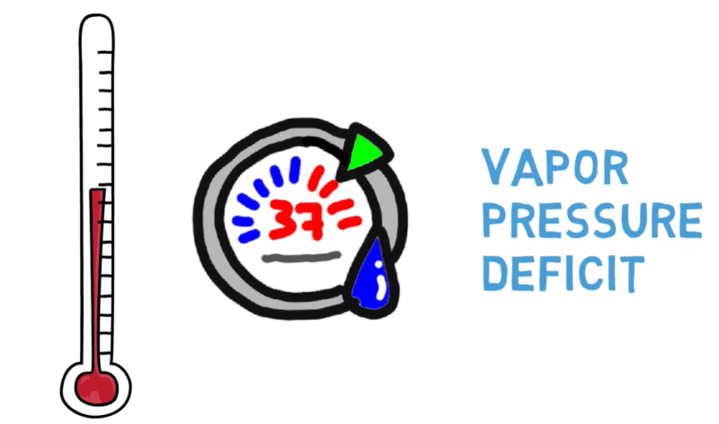 vpd explainer